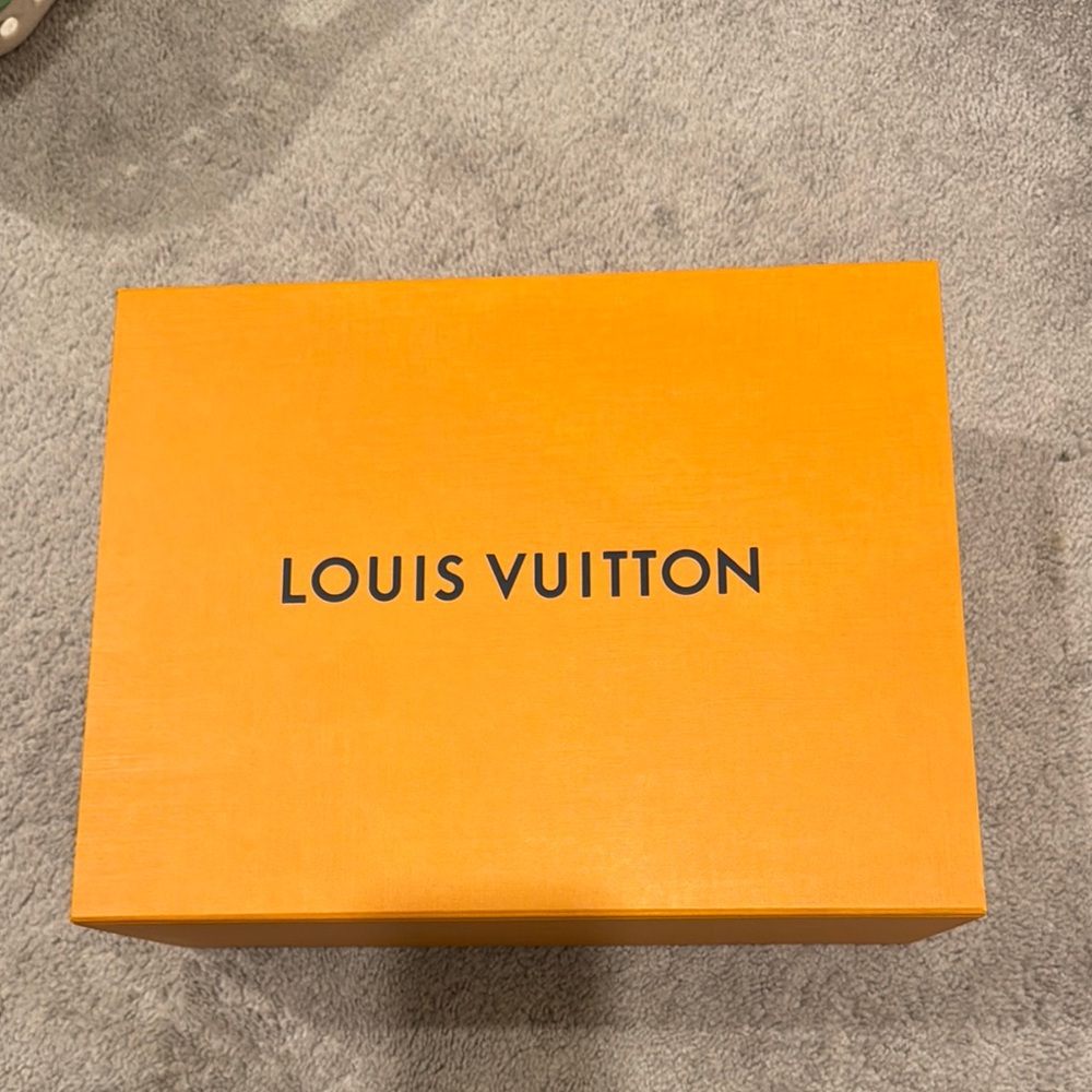 Vibrant Louis Vuitton Storage Box